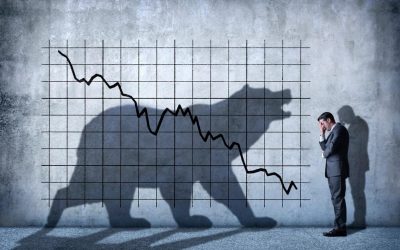 bears in trading